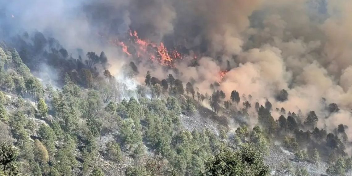 Incendios Forestales - Salud Regia Crisis De Sequia, Incendios Forestales - Salud Regia