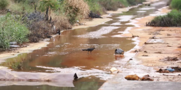 Derrame Ternium Arroyo La Talaverna