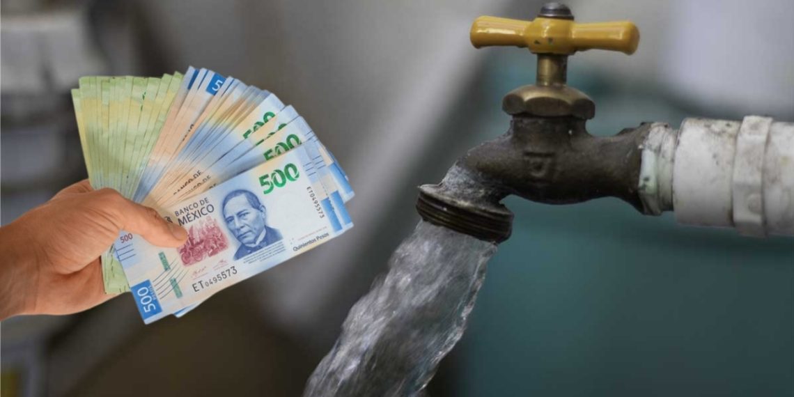 Salud Regia - Salud Regia  - Salud Regia