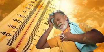 Nuevo León Sufre Golpes De Calor Sin Estrategia Efectiva