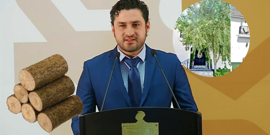 Glen-villarreal - Salud Regia