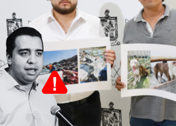 Jesús Nava - Salud Regia