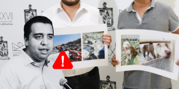 Jesús Nava - Salud Regia Jesús Nava - Salud Regia