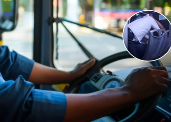 Conductor De Camión Muere - Salud Regia