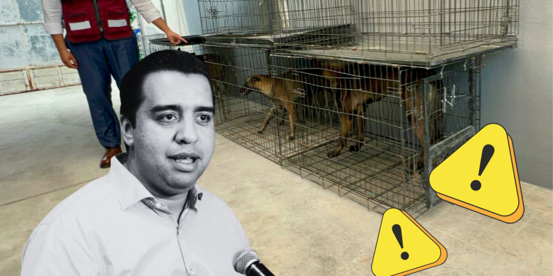 Maltrato Animal En Santa Catarina - Salud Regia