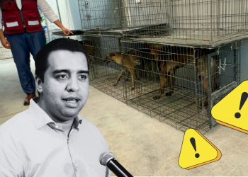 Maltrato Animal En Santa Catarina - Salud Regia