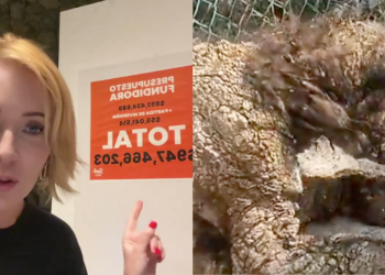 Crisis En La Pastora - Salud Regia