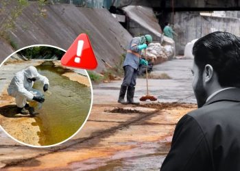 Delitos-ambientales-daño-al-medio-ambiente-nuevo-león - Salud Regia