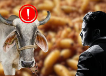 Gusano Barrenador - Salud Regia