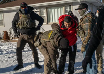 Minesota Ice - Salud Regia