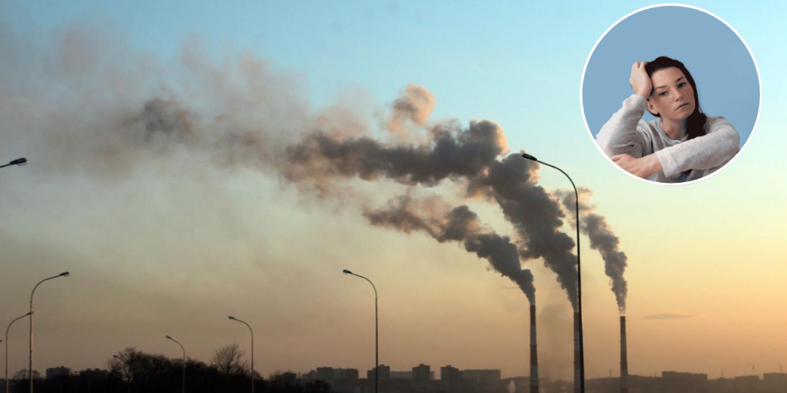 Contaminación Ambiental - Salud Regia