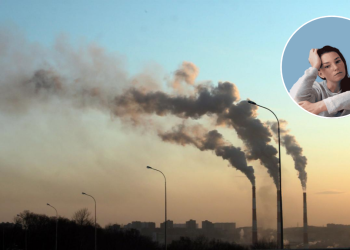 Contaminación Ambiental - Salud Regia