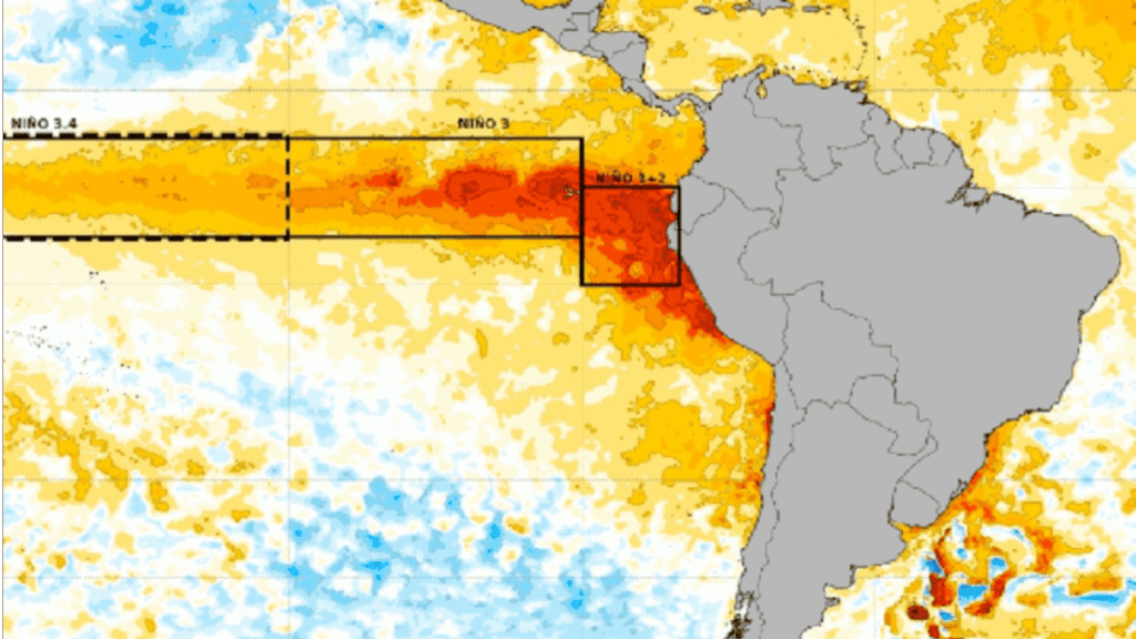 Omm Advierte Calor Extremo Por Que El Fenómeno El Niño Se Intensifica - Salud Regia
