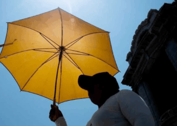 Altas Temperaturas - Salud Regia