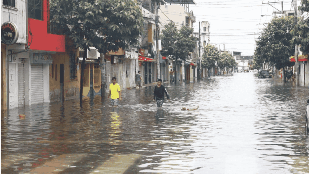 Alerta Por Sequía E Incendios - Salud Regia