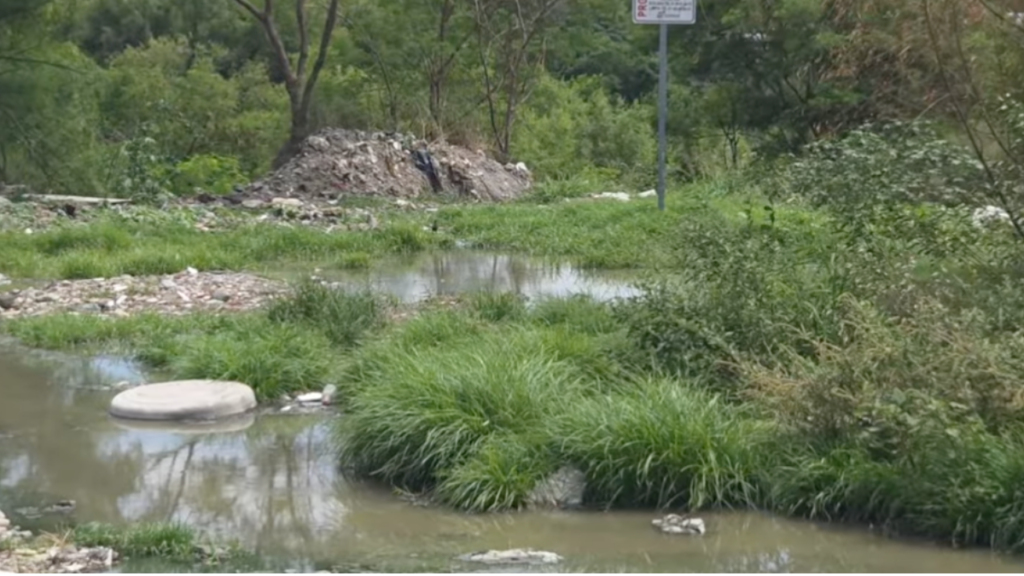 Samuel-garcia-esconde-basura-en-las-sabinitas - Salud Regia Polluted Wetland with Murky Water, Tall Grasses, and a Rubble Pile in the Background Near a Road Sign. - Salud Regia